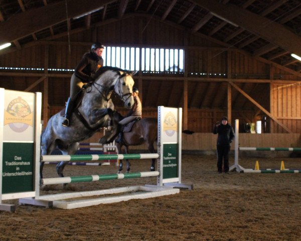 jumper Cocco Grande (Rhinelander, 2012, from Cordobes I)