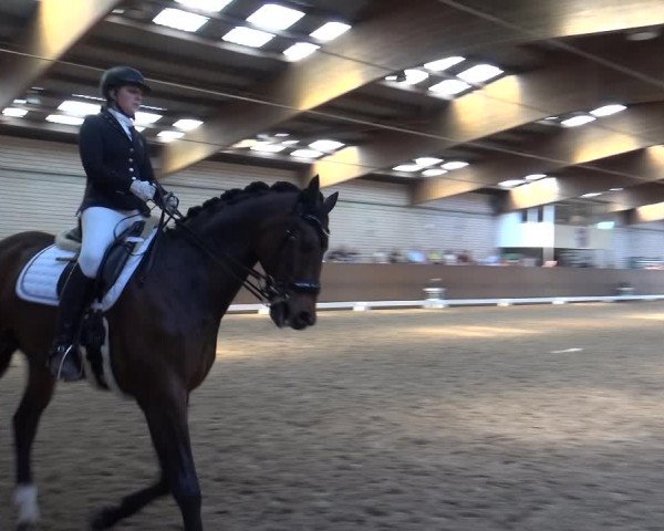 Reitturnier Leverkusen-Rheindorf 2018