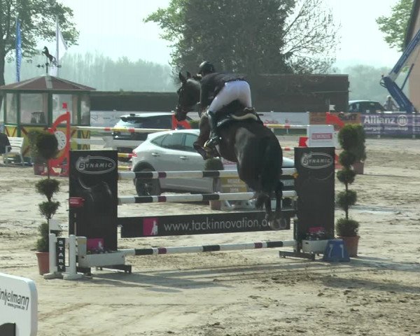 Lenklarer Reitertage 2018