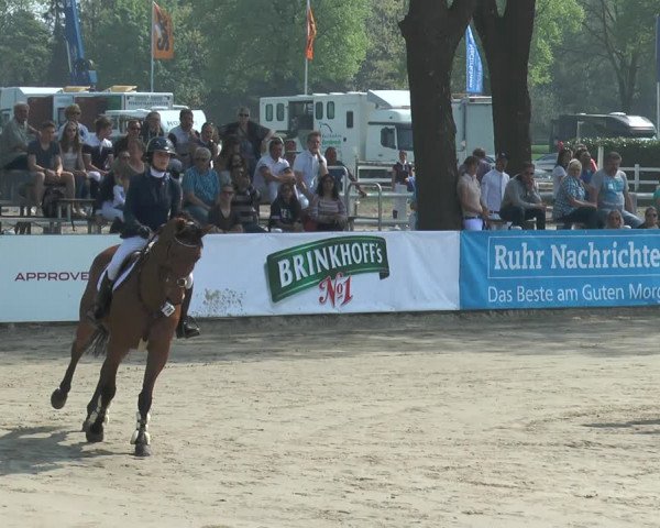 Reitturnier Werne-Lenklar 2018