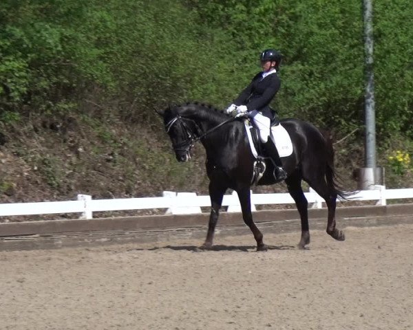 Reitturnier Mettmann - Reitanlage Löckenhoff 2018