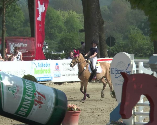 Lenklarer Reitertage 2018