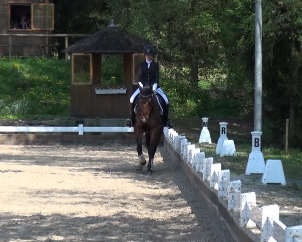 Reitturnier Mettmann - Reitanlage Löckenhoff 2018