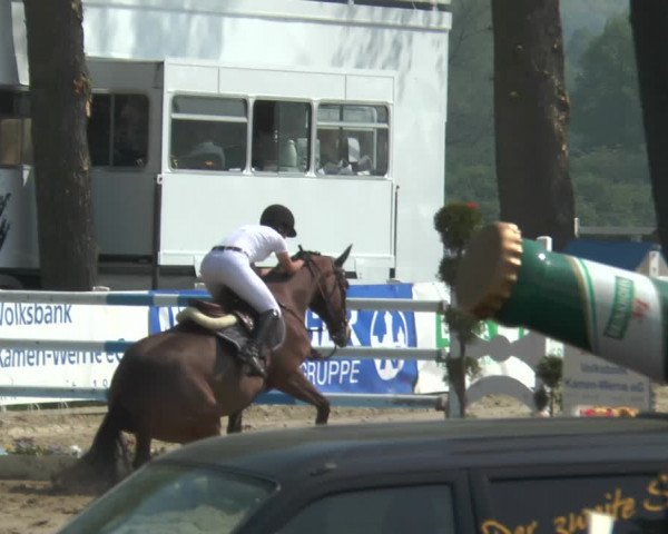 Reitturnier Werne-Lenklar 2018