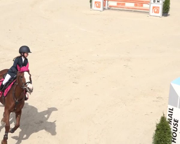 Reitturnier Horn 2018