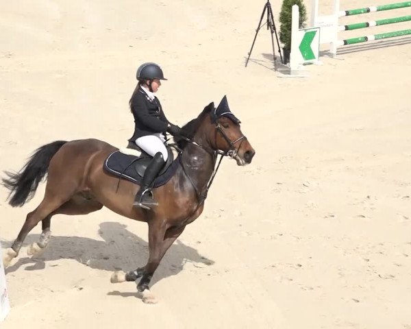 Reitturnier Horn 2018