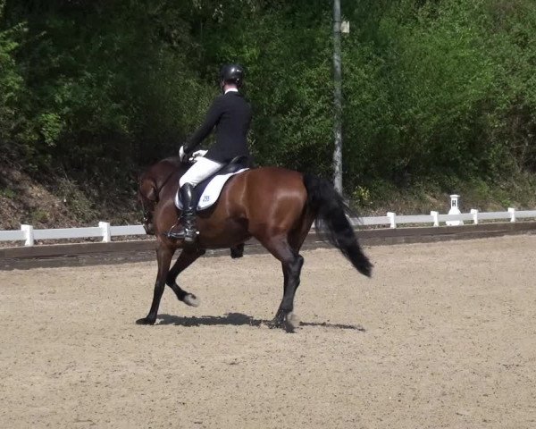 Reitturnier Mettmann - Reitanlage Löckenhoff 2018