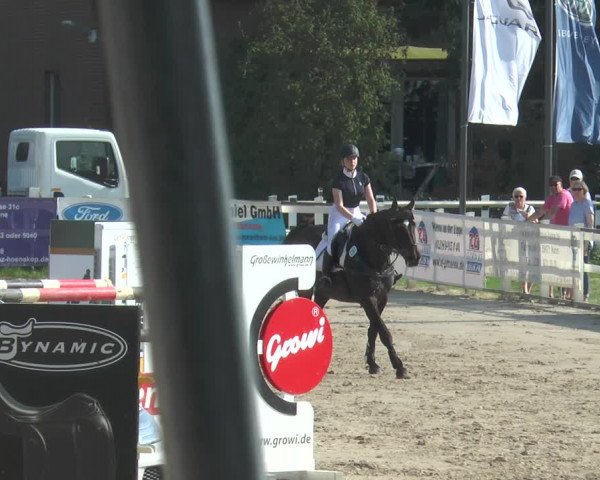 Lenklarer Reitertage 2018