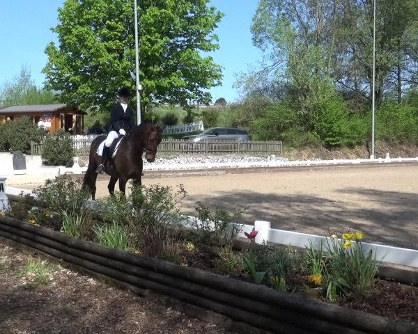 Reitturnier Mettmann - Reitanlage Löckenhoff 2018