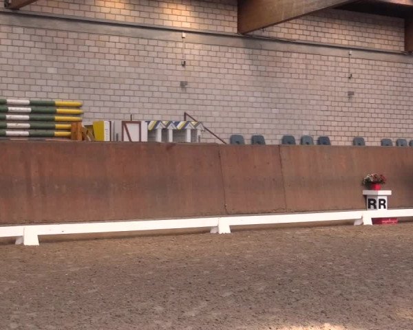 Reitturnier Leverkusen-Rheindorf 2018
