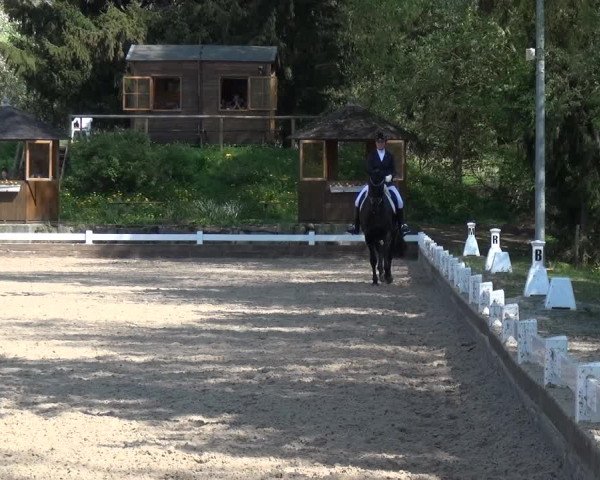 Reitturnier Mettmann - Reitanlage Löckenhoff 2018