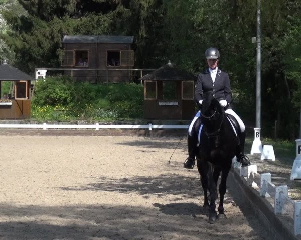 Reitturnier Mettmann - Reitanlage Löckenhoff 2018