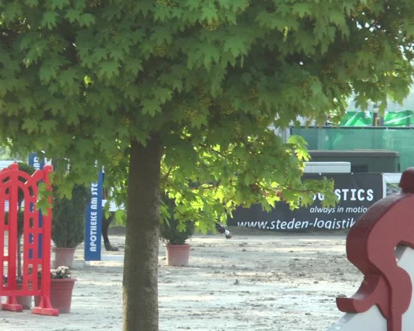 Reitturnier Werne-Lenklar 2018