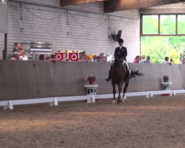 Reitturnier Leverkusen-Rheindorf 2018