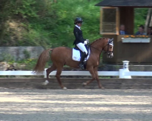 Reitturnier Mettmann - Reitanlage Löckenhoff 2018