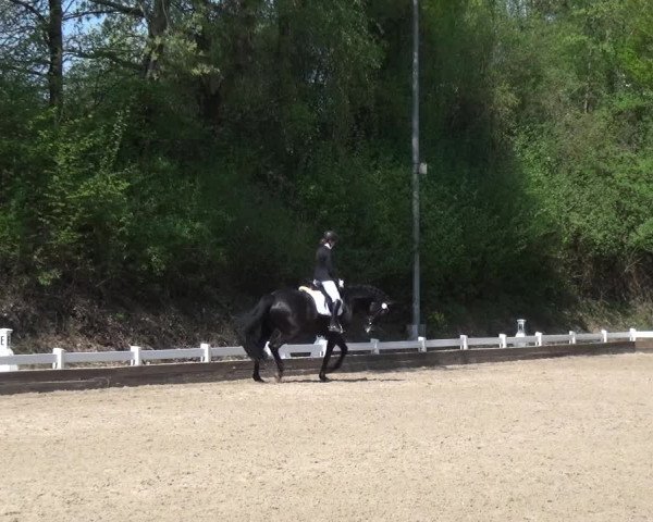 Reitturnier Mettmann - Reitanlage Löckenhoff 2018