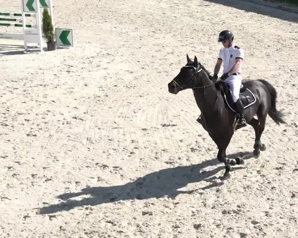 Reitturnier Horn 2018