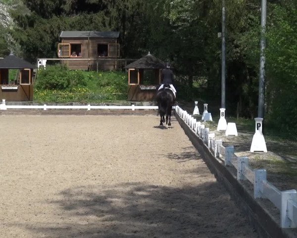 Reitturnier Mettmann - Reitanlage Löckenhoff 2018