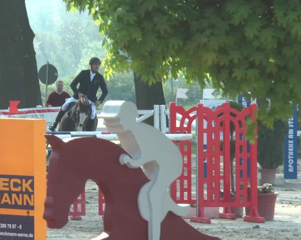 Lenklarer Reitertage 2018
