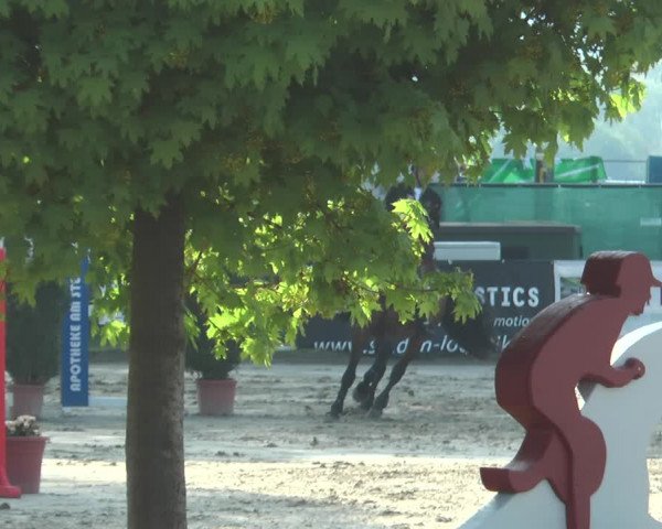 Lenklarer Reitertage 2018
