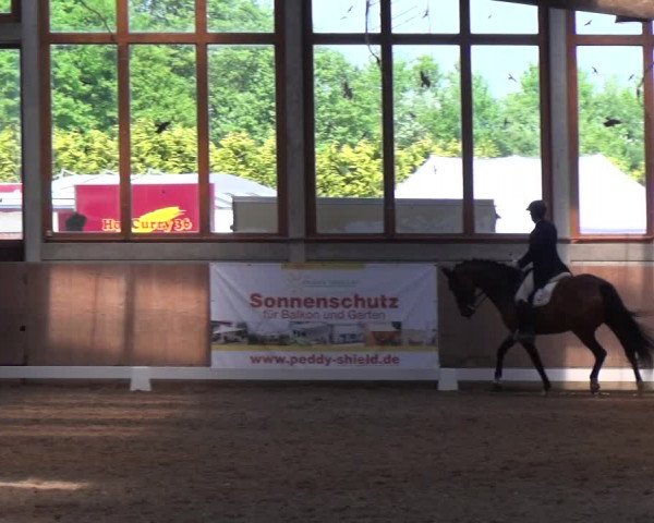 Reitturnier Leverkusen-Rheindorf 2018