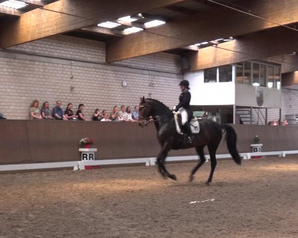 Reitturnier Leverkusen-Rheindorf 2018