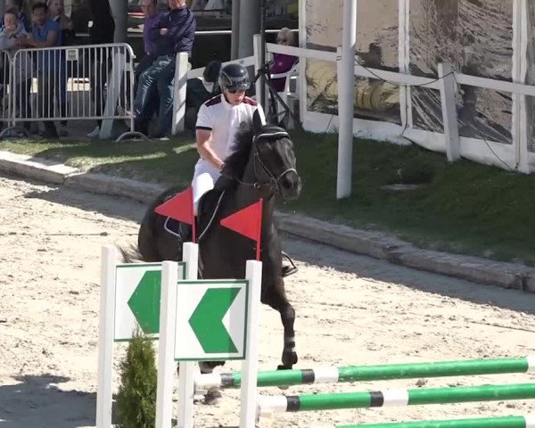 Reitturnier Horn 2018
