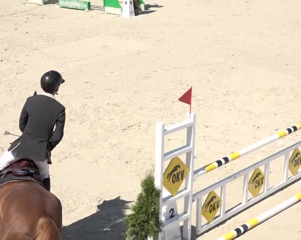 Reitturnier Horn 2018