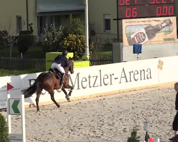 Reitturnier Horn 2018