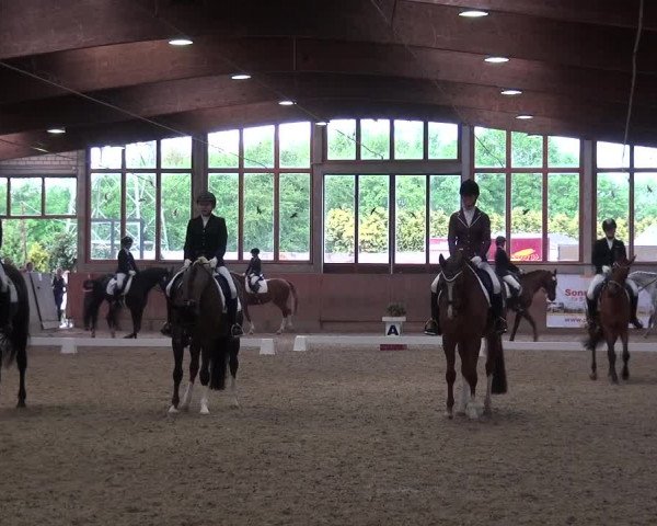 Reitturnier Leverkusen-Rheindorf 2018