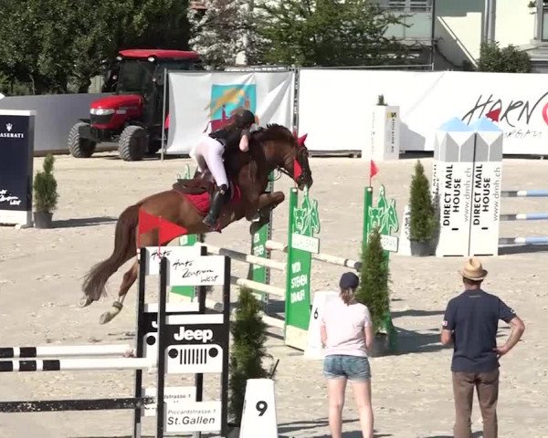 Reitturnier Horn 2018