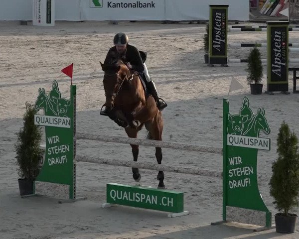 Reitturnier Horn 2018