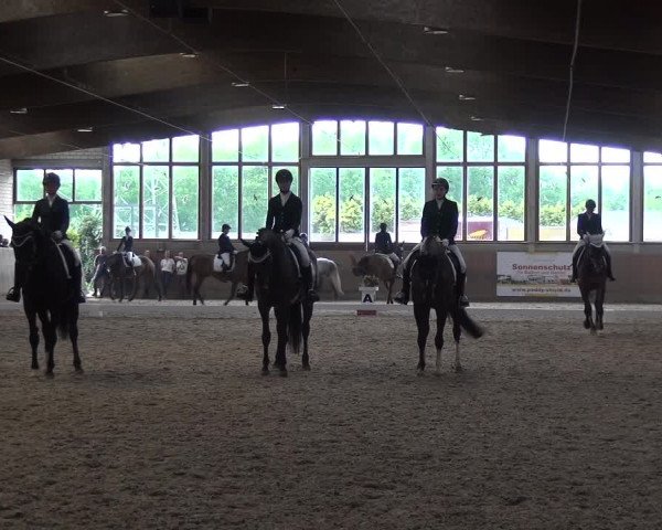 Reitturnier Leverkusen-Rheindorf 2018
