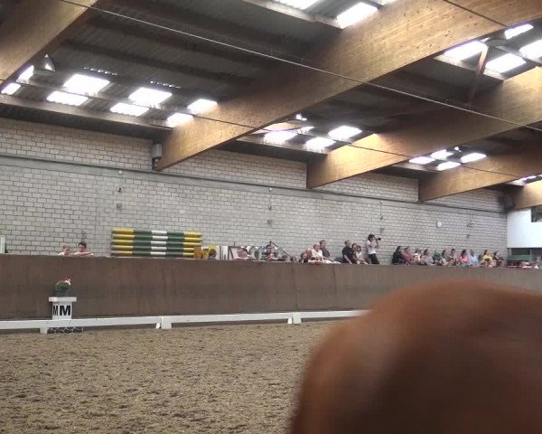 Reitturnier Leverkusen-Rheindorf 2018