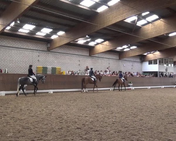 Reitturnier Leverkusen-Rheindorf 2018