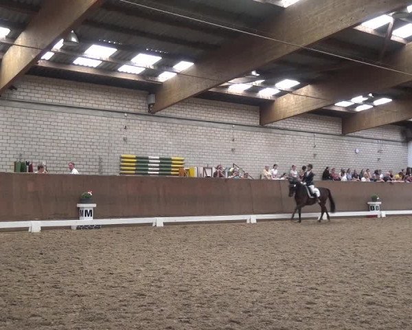 Reitturnier Leverkusen-Rheindorf 2018