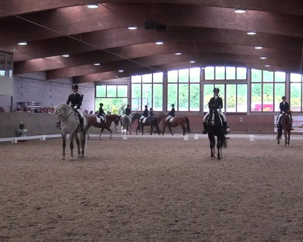 Reitturnier Leverkusen-Rheindorf 2018