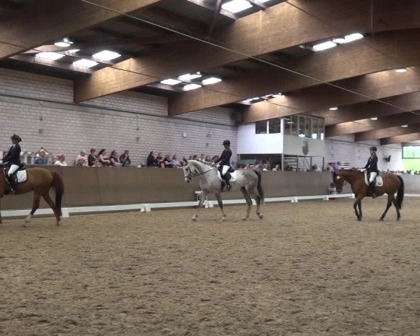 Reitturnier Leverkusen-Rheindorf 2018