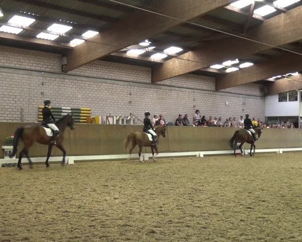 Reitturnier Leverkusen-Rheindorf 2018