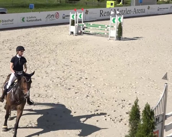 Reitturnier Horn 2018