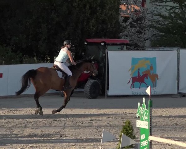 Reitturnier Horn 2018