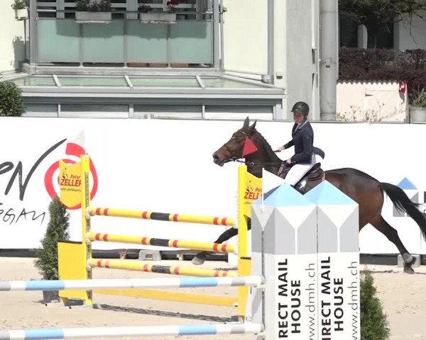 Reitturnier Horn 2018