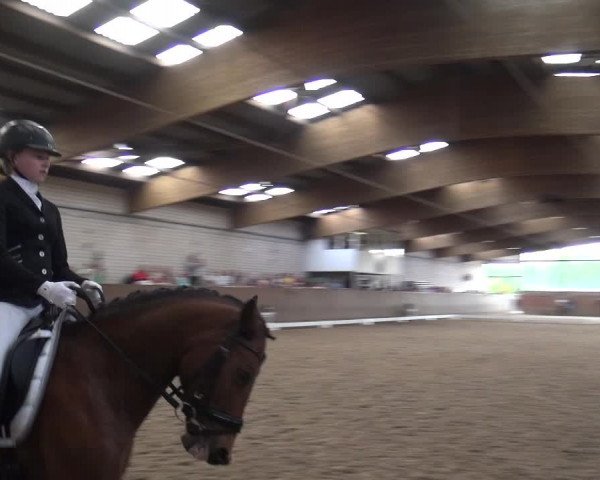 Reitturnier Leverkusen-Rheindorf 2018