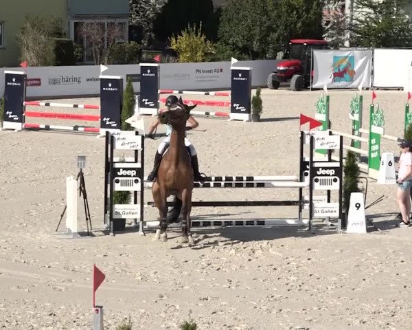 Reitturnier Horn 2018