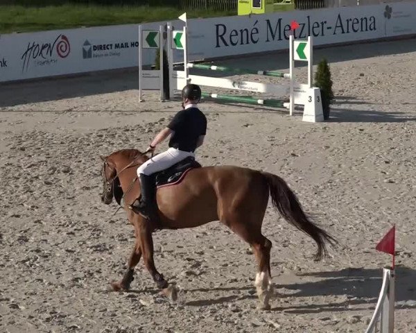 Reitturnier Horn 2018