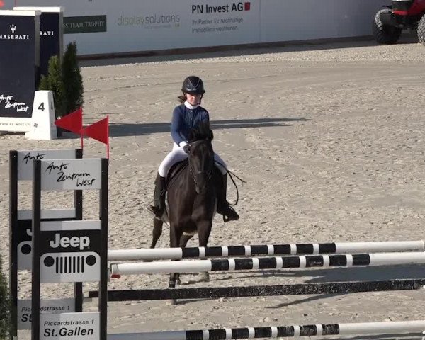 Reitturnier Horn 2018
