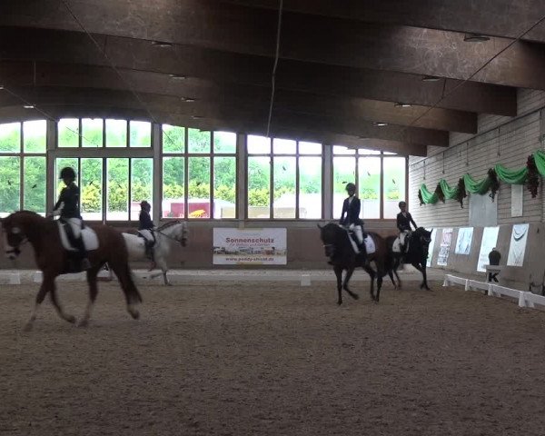 Reitturnier Leverkusen-Rheindorf 2018
