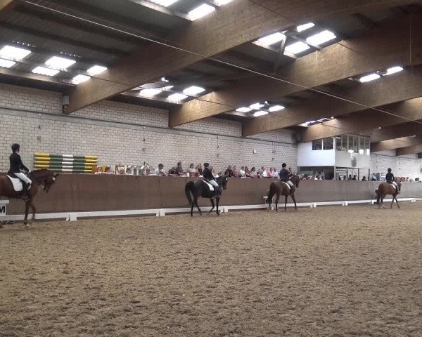 Reitturnier Leverkusen-Rheindorf 2018