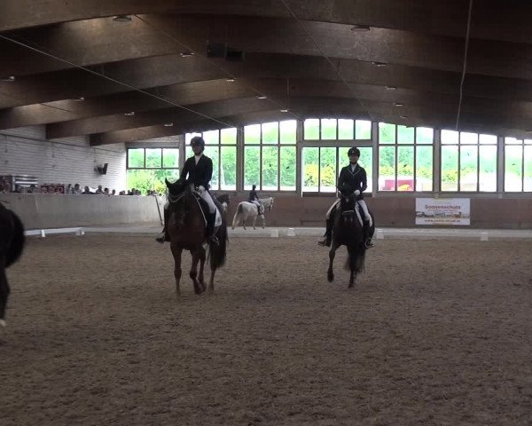 Reitturnier Leverkusen-Rheindorf 2018