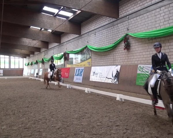 Reitturnier Leverkusen-Rheindorf 2018
